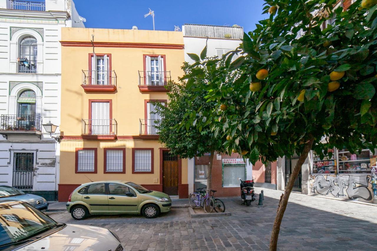 Alohamundi Cruz Verde — Photos 1